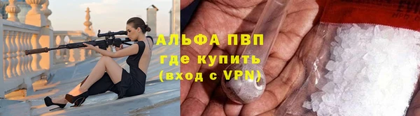 амф Новокубанск