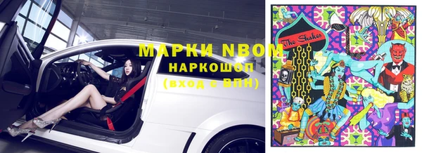 амф Новокубанск
