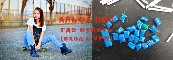 амф Новокубанск