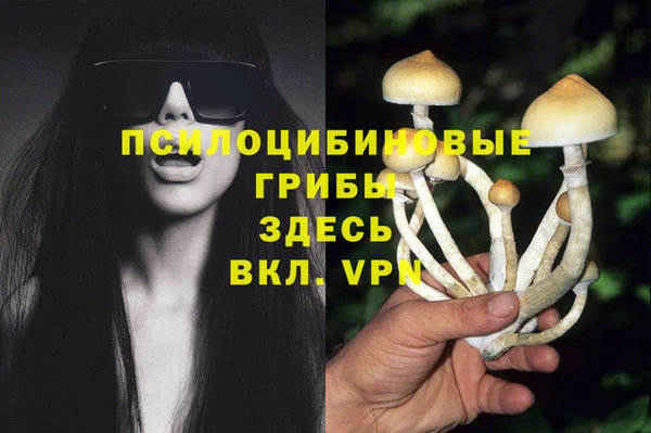 ALPHA PVP Новодвинск