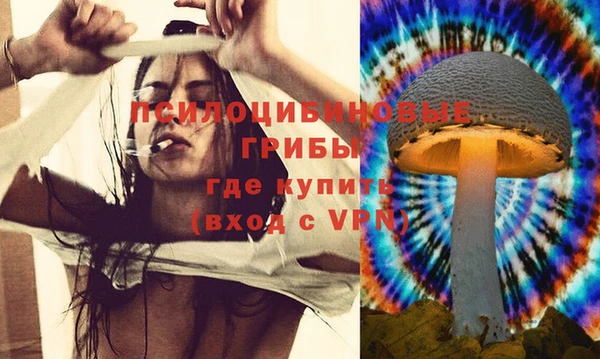 ALPHA PVP Новодвинск