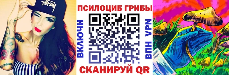 даркнет состав  Шимановск  Галлюциногенные грибы мицелий 